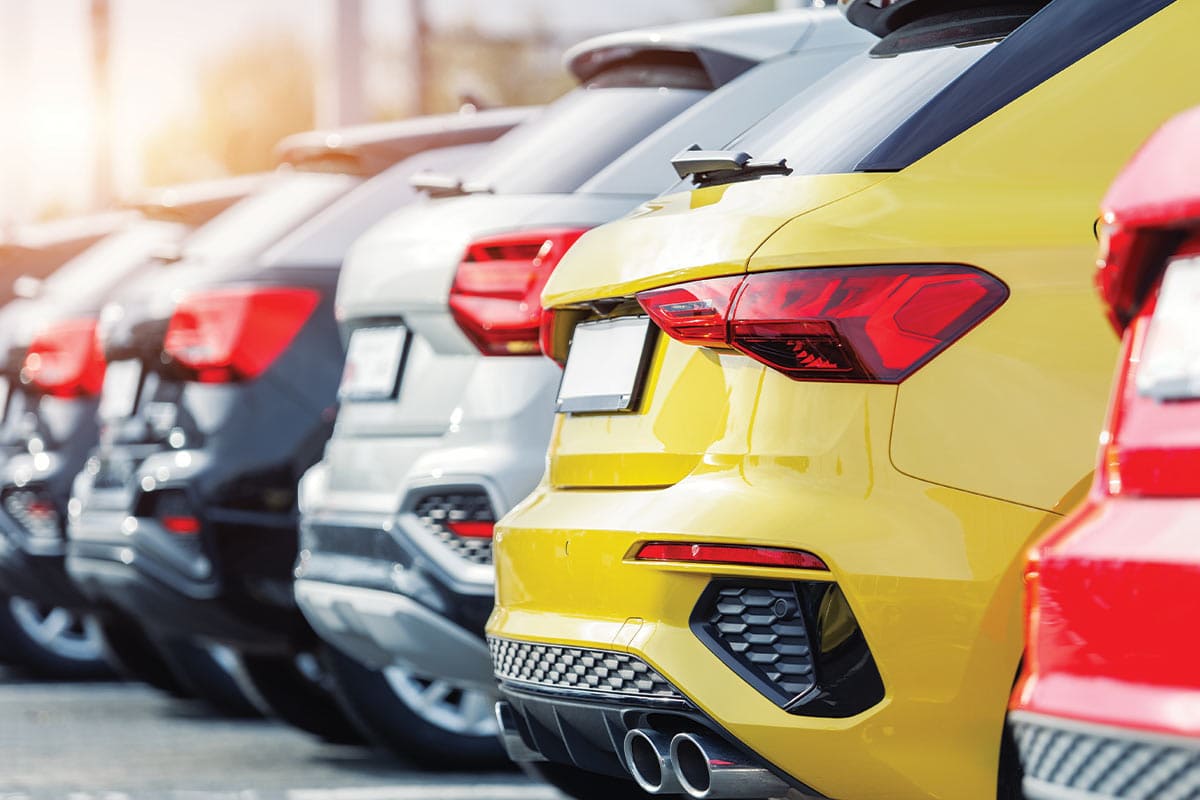 car-lineup